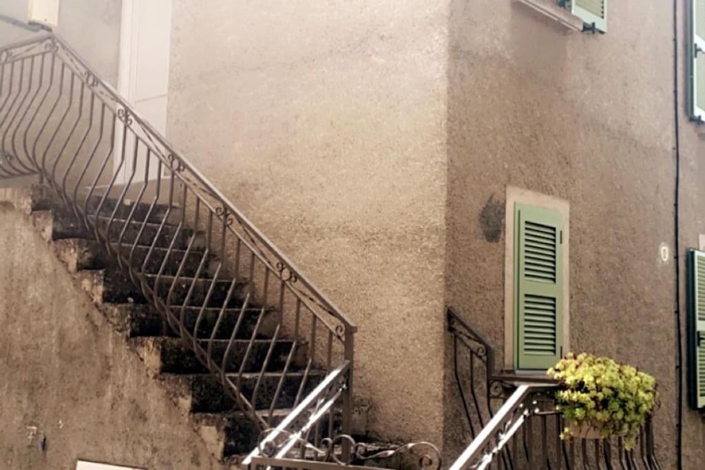 Appartement T2 Chez Thomas Et Nas Omessa エクステリア 写真