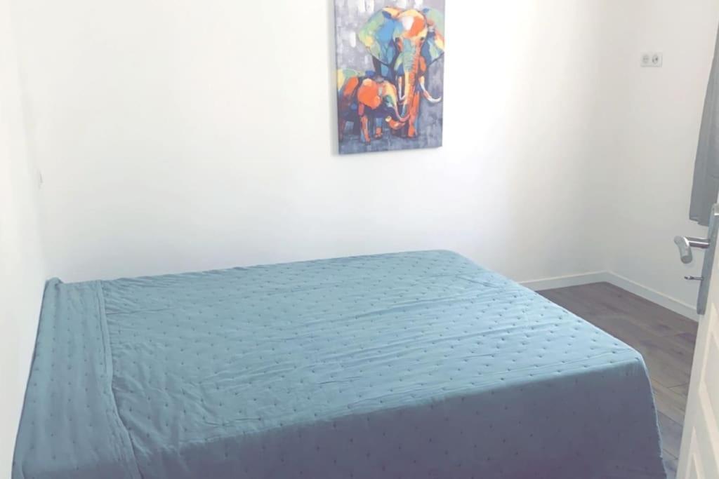 Appartement T2 Chez Thomas Et Nas Omessa エクステリア 写真