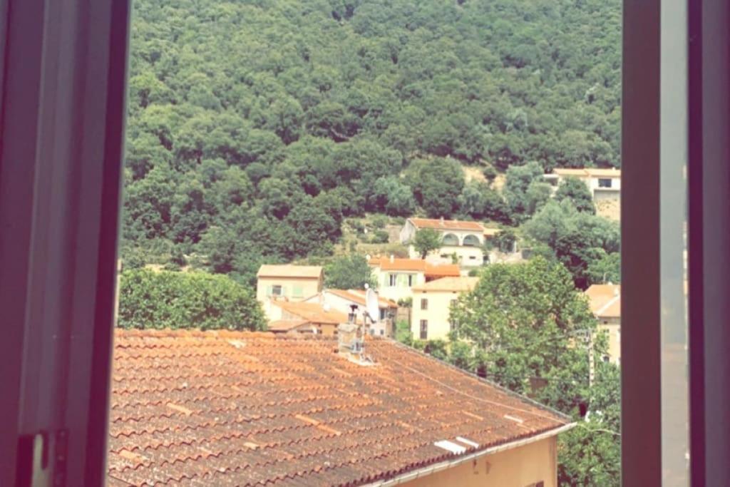 Appartement T2 Chez Thomas Et Nas Omessa エクステリア 写真